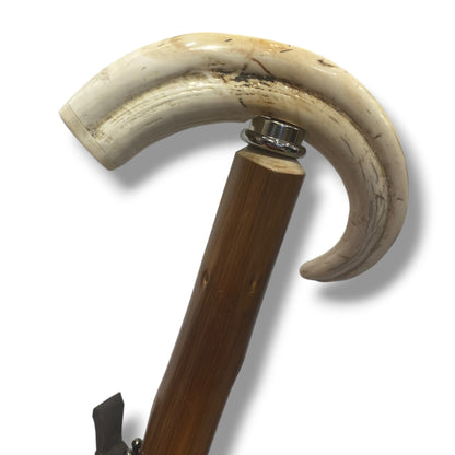 Ombrello manopola Dente di Facocero bastone in Castagno 10 Stecche in Fibra lavorazione artigianale Ombrelli Domizio dal 1989 Made in Italy
