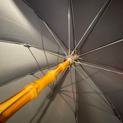 Schwarzer Bambus-Regenschirm, 10 Streben, Hornspitze, handgefertigt von Ombrelli Domizio seit 1989, hergestellt in Italien