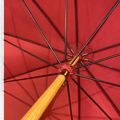 Ombrello il Gigante della Pioggia  manico in Radice di Castagno 10 stecche fibra di carbonio